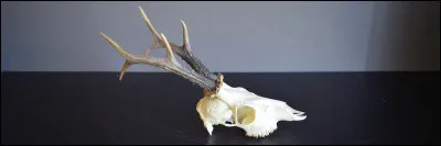 En 1963, Jacques Deray nous a donné "Symphonie pour..."