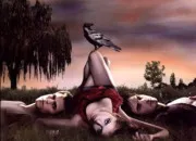 Test Qui serait ton petit ami de Vampire Diaries ?