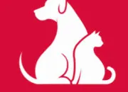 Quiz Chiens & chats de fictions