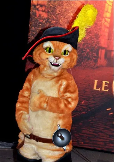 Quel est le nom de ce chat qui hante l'univers Shrek ?