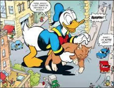 Quel est le nom du chat (cat) de Donald Duck ?