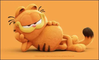 Quel est le nom ce de chat orange qui passe son temps à manger, dormir et embêter son maître ?