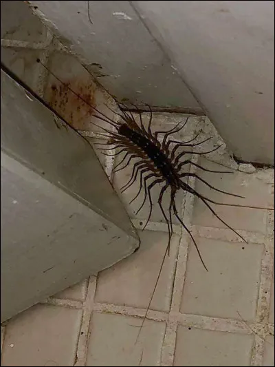 Cette image te fait-elle un peu peur ?