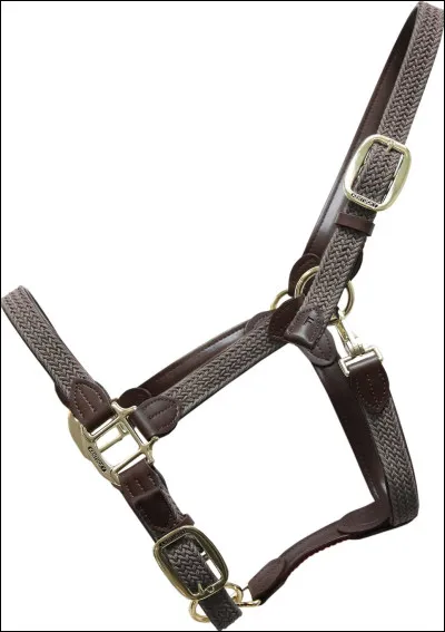 Quelle est la partie du licol où on accroche la longe ?