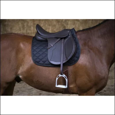 Dans quelle partie de la selle enfilons-nous nos pieds ?