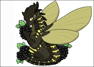 Voudrais-tu contrôler l'identité des Ailes de Soie ?