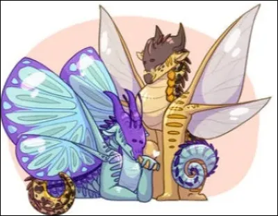 Veux-tu un dragon orphelin ?