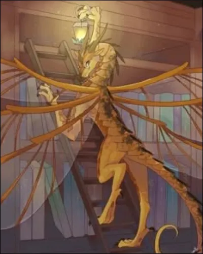 En termes de tranche d'âge, es-tu plus jeune ou âgé(e) ?