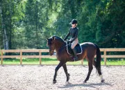 Quiz Quiz Galop 1