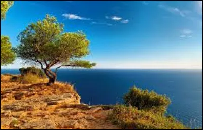 De quelle mer fait partie le bassin Levantin ?