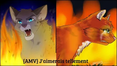 Qui suis-je ? (celui de gauche)