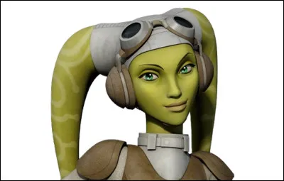 Et enfin, quel est le nom de ceux à la peau verte ?