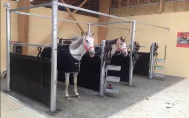 Quiz Galop 1
