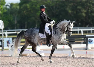 Quelle est cette discipline ?