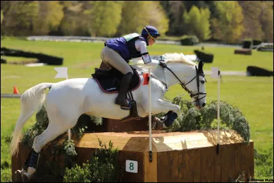 Quelle est cette discipline ?