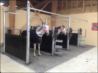 SOINS : 
Comment aborder un cheval ?