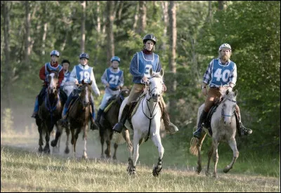 Quelle est cette discipline ?