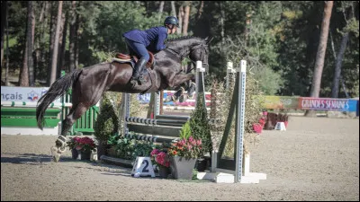 Quelle est cette discipline ?