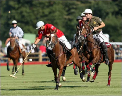 Quelle est cette discipline ?