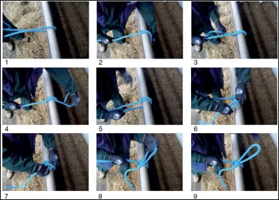 Pourquoi est-il important de faire correctement le nud d'attache du cheval ?