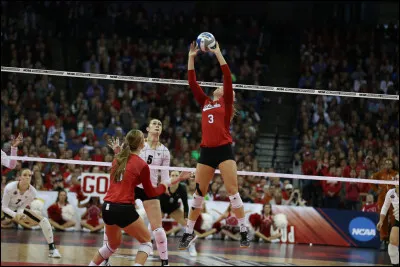 Quel est le nom de ce sport ?