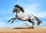 Test Quel lment contrles-tu ?