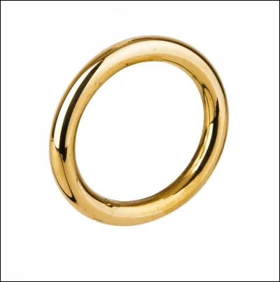 Quel personnage porte une bague qui doit être détruite ?