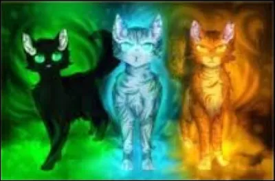 Qui a les yeux verts et le pelage noir ?