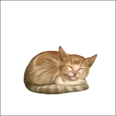 Jour ou nuit ? Que préfères-tu ?