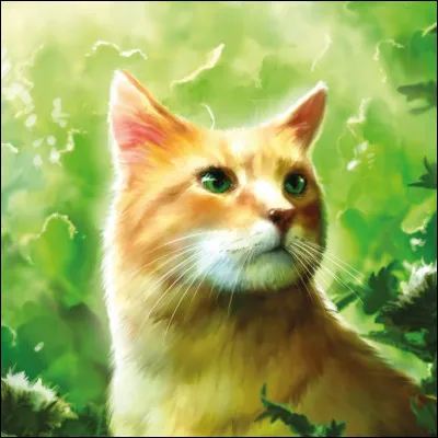 Qui est le frère ou la sur (ou les frères et soeurs) de Pelage de Poussière ?