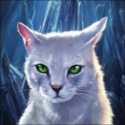 D'accord, et maintenant lâchons ce personnage et discutons un peu de traîtres et hors la loi. 
Parmi ces chats, qui ont déjà tenté la vie hors d'un Clan ?