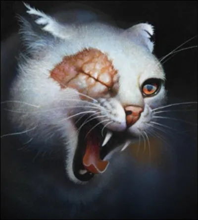 Très bien. Maintenant, pourrais-tu me dire lequel de ces personnages a du blanc présent sur sa fourrure ?