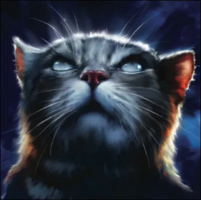 Et parmi ceux-ci, qui a eu un apprenti ? (non, pas quatre apprentis mais un !)