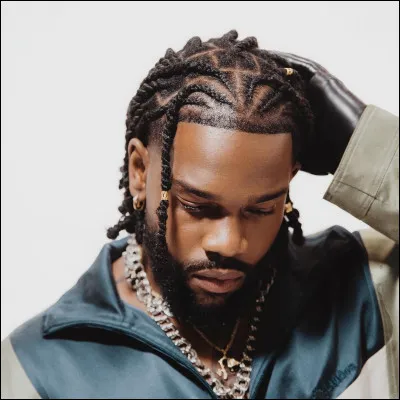 Qui est ce chanteur ?