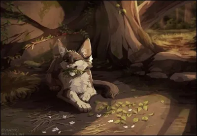 Quel est son mentor en tant que guérisseuse ?