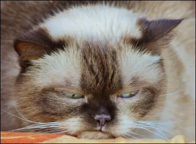 Quelqu’un t’insulte, que fais-tu ?