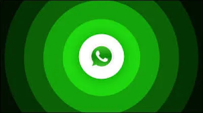 W - L'application "WhatsApp" a vu le jour en 2020.