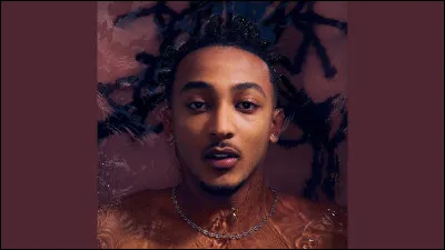 Qui est ce chanteur ?