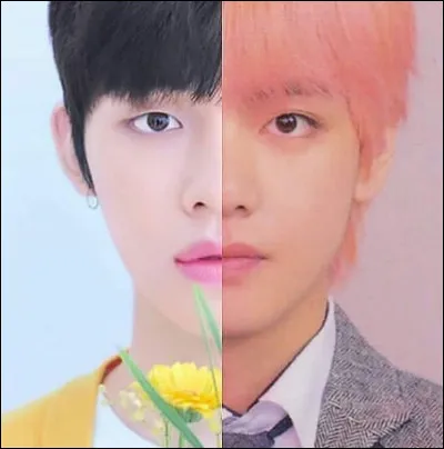 Si je dis que Yeonjun est mon bias dans TXT, mais que V de BTS est mon bias ultime, ça veut dire que...