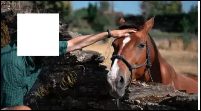 Quelle lettre faut-il ajouter à "la-" pour correspondre à l'illustration ?