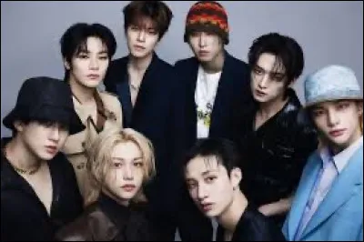 Comment le nom de leur fandom se nomme-t-il ?