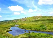 Quiz Culture gnrale en Y