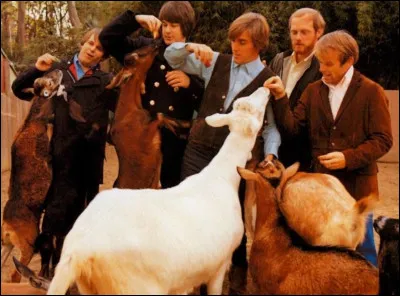 "Pet Sounds" est considéré comme un des meilleurs albums de tous les temps. Il est sorti en 1966, avec des chansons comme "God Only Knows" ou "Wouldn't It Be Nice". De quel groupe pionnier du rock californien parle-t-on ?