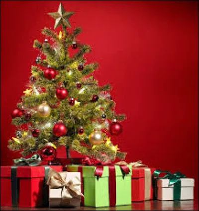 Pendant les vacances d'hiver, on fête Noël.