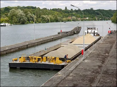 Quel oiseau peut être à queue noire, rousse, ou hudsonnienne ?
