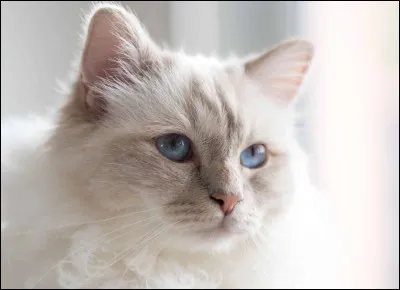 Qui est sa mère adoptive ?