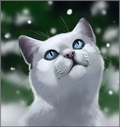 Qui est son mentor ?