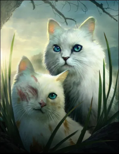 Qui est sa compagne ?