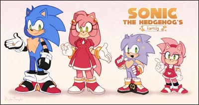 Comment s'appellent ces deux enfants de Sonic et Amy ?