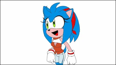 Comment s'appelle la fille de Sonic et Amy ? (elle est bleue comme son père Sonic)